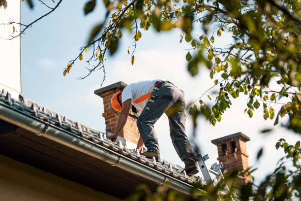 Best Roof Gutter Cleaning  in Lawtey, FL